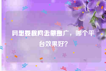 网上投放广告平台
，想要在网上做推广，哪个平台效果好？