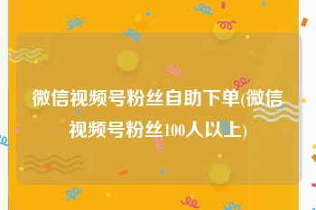微信视频号粉丝自助下单(微信视频号粉丝100人以上)