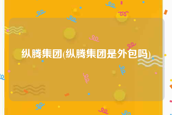 纵腾集团(纵腾集团是外包吗)
