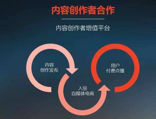 自媒体黄v蓝v红v是什么意思的简单介绍