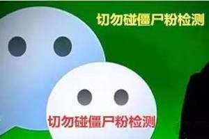 微信僵尸粉一元200人(微信僵尸粉一元200人网站)