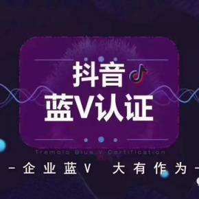 抖音蓝v和黄v是什么意思(抖音蓝v和黄v 红v的区别)