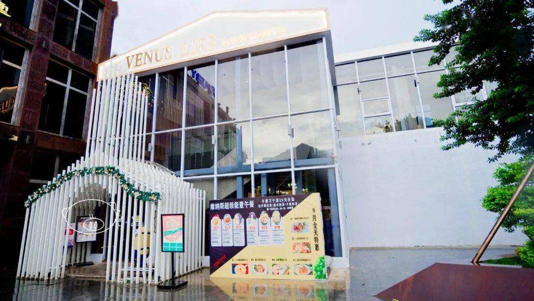网红巴士自助下单(网红助手24小时自助下单)