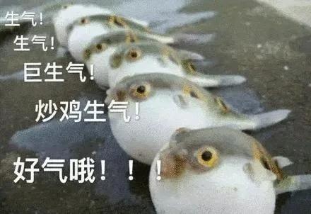 微博开车博主怎么找