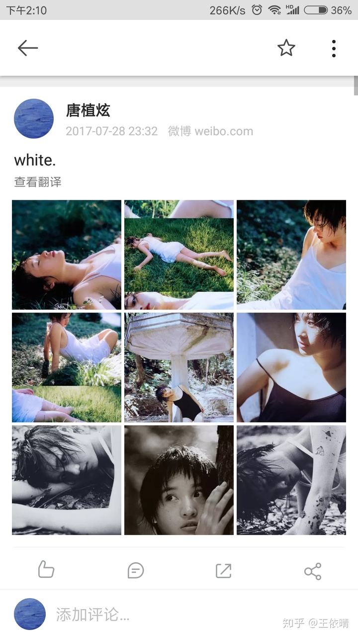 微博有颜色的博主(微博颜色博主什么意思)