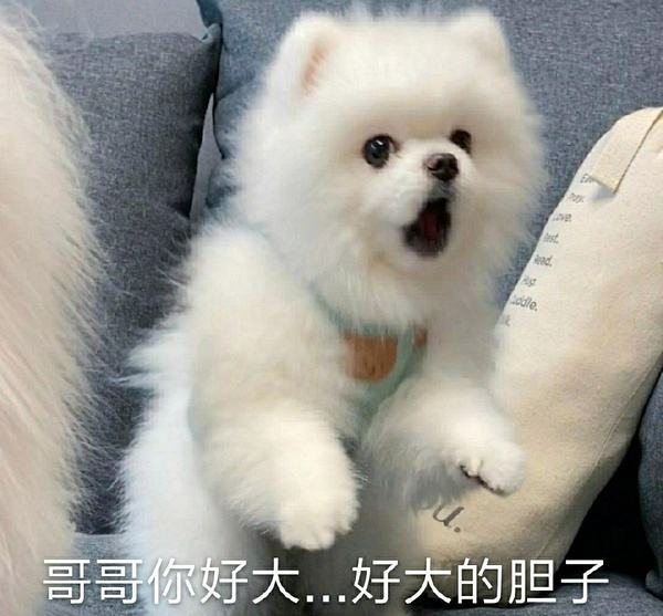 lsp可动的表情图(我承认我lsp表情包)
