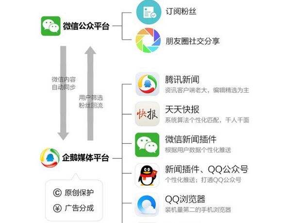 企鹅号有什么用(企鹅号是什么样的)