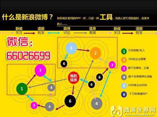 黄v实时号购买(黄v实时号怎么养)