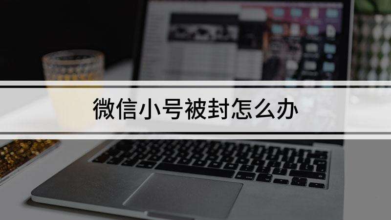微信小号在线购买(正规微信小号购买平台)