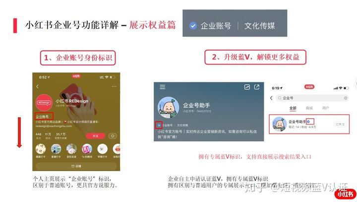 蓝v认证推广代理会员(蓝v认证代理商申请条件)