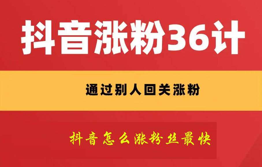 买粉丝自助下单(wb买粉丝自助下单)