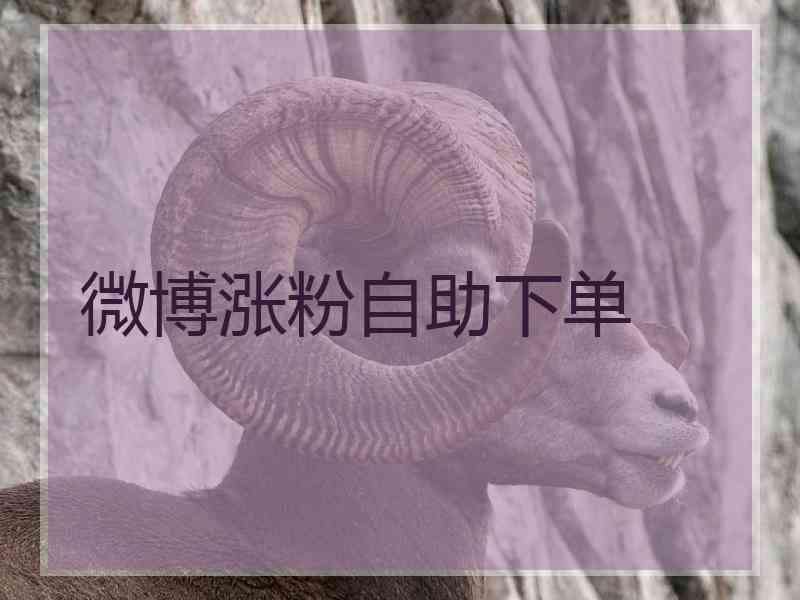 微博24小时自助下单平台(微博24小时自助下单平台网站)