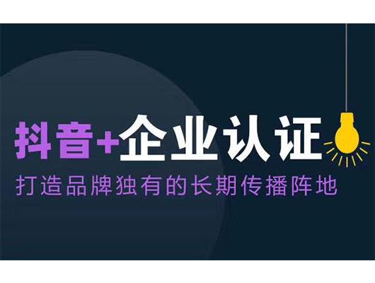 好看视频蓝v与黄v有区别吗(好看视频黄v蓝v红v是什么意思)