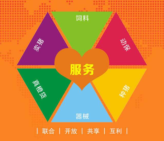 橙服务平台是什么(橙服务平台是什么如何取消)