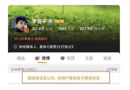 微博黄v能干嘛(微博黄v有什么作用)