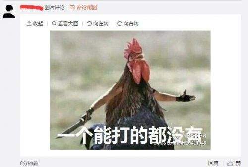 微博上的鸡(微博上的鸡是什么套路)