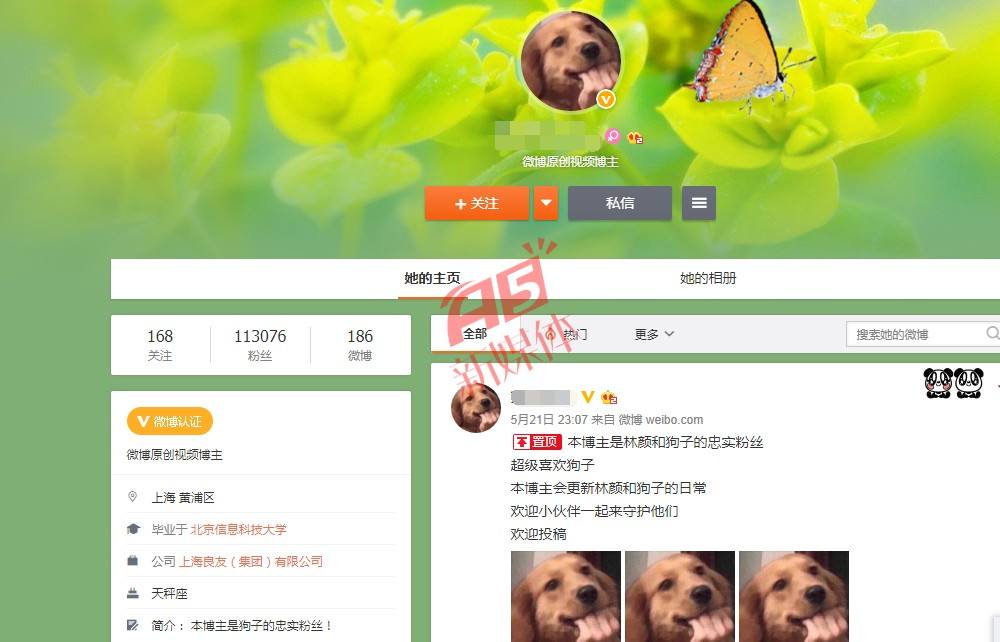微博黄v可以改几次ID的简单介绍