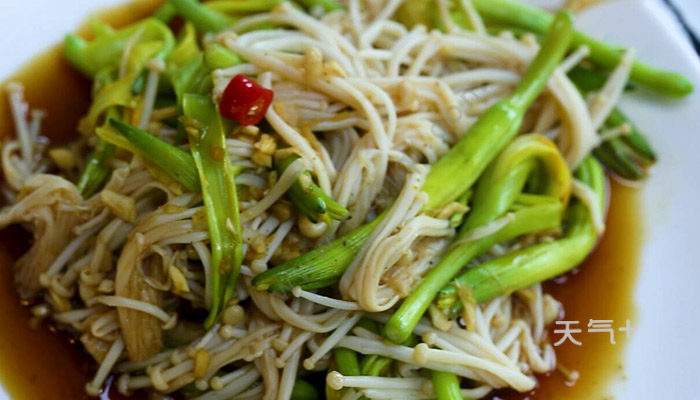 金针菇做法视频(金针菇做法视频播放)