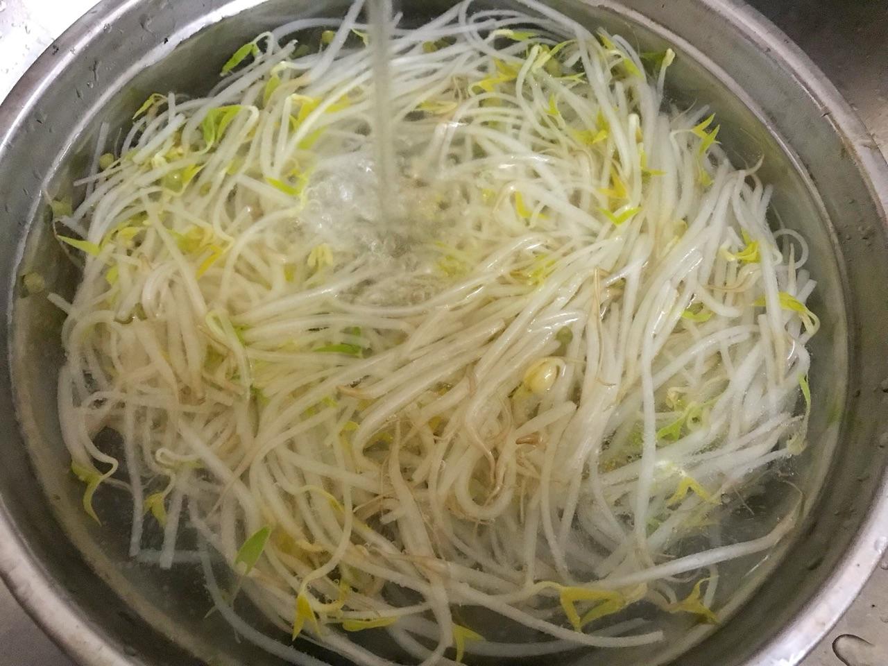 绿豆芽的做法视频(做绿豆芽的方法视频)