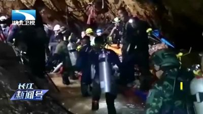 关于海豹短视频能赚钱吗的信息