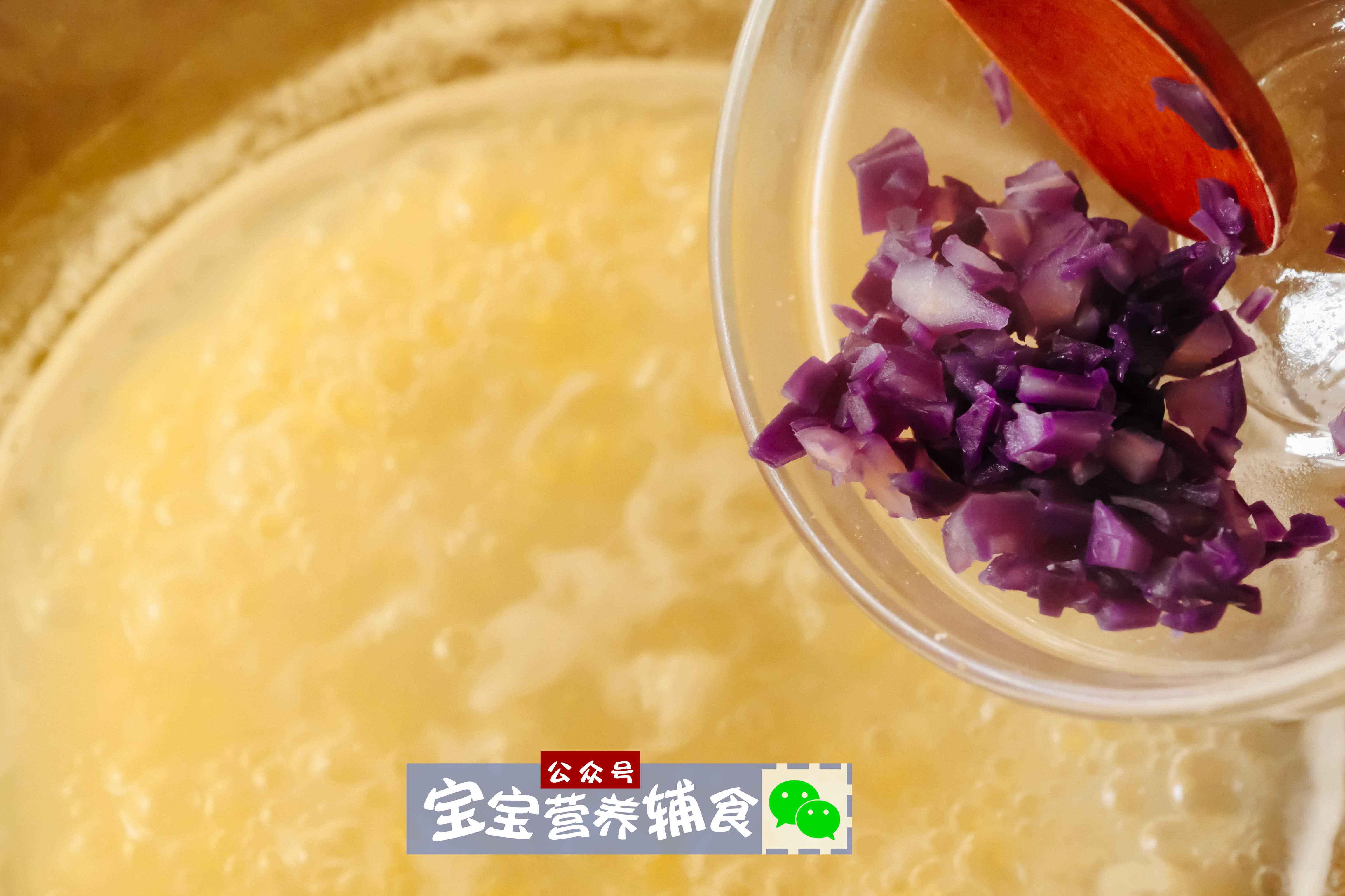 宝宝辅食做法大全视频(宝宝辅食做法大全视频播放)