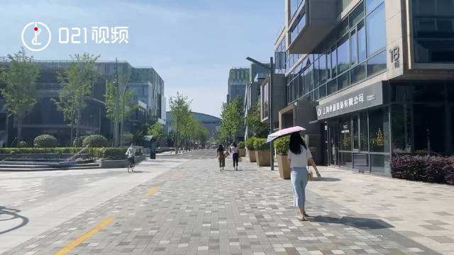 关于上海的短视频(关于上海的短视频剪辑)