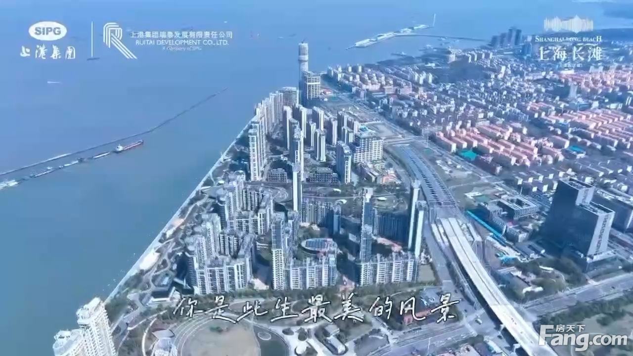 关于上海的短视频(关于上海的短视频剪辑)