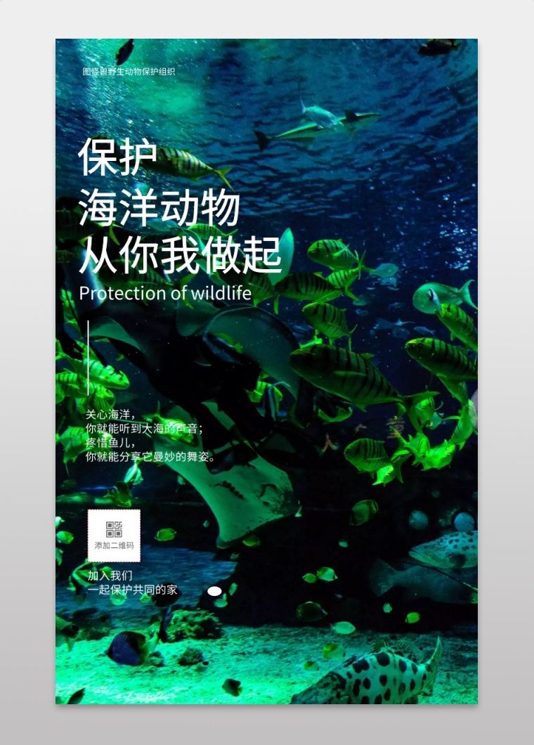 保护动物宣传视频(保护濒危动物宣传视频)