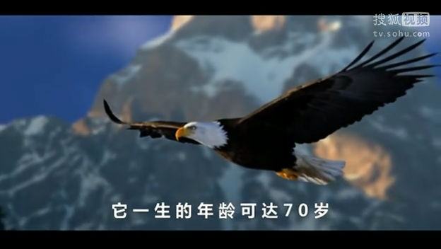 励志电影短视频(励志短视频短片大全)