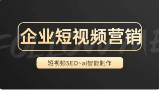 高清精品seo1短视频的简单介绍