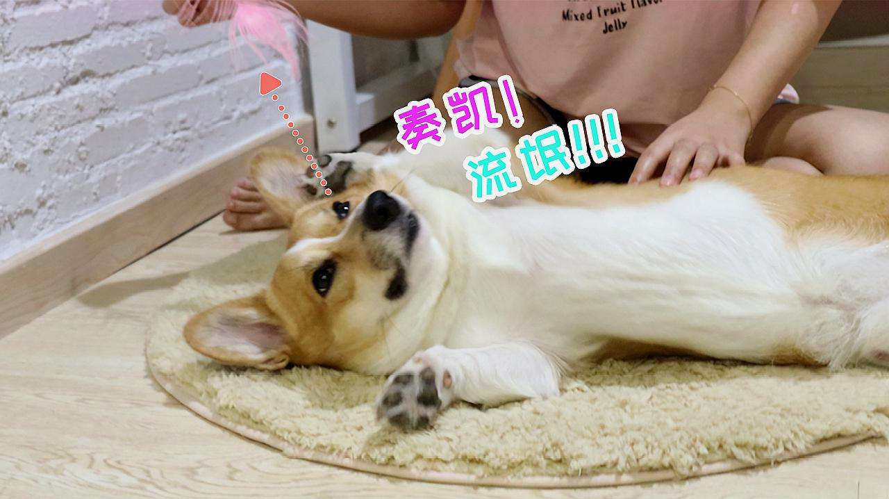 挠痒痒的短视频(头皮痒痒怎么治疗的短视频)