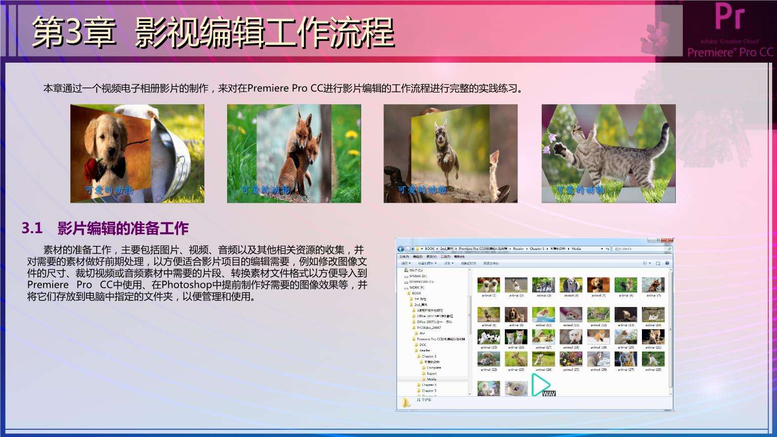 ppt制作流程视频(ppt如何制作视频教程)