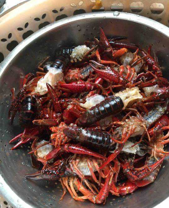 龙虾的做法视频(家常蒜蓉大龙虾的做法视频)