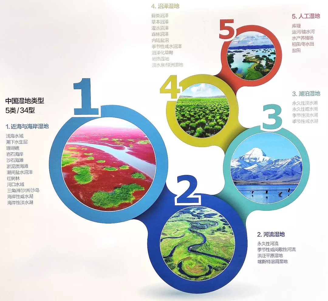 湿地宣传视频(湿地宣传视频素材)