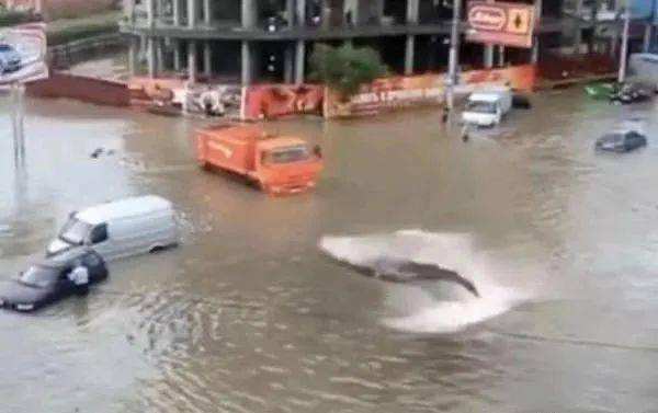 洪水短视频(河南洪水短视频)