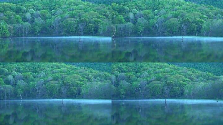 高清唯美风景短视频(高清唯美风景短视频制作)