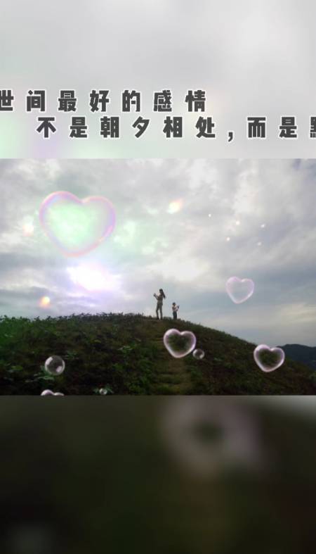 可以下载的情感短视频(可以下载的情感短视频素材)