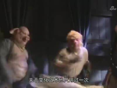 八戒短视频(八戒八戒视频免费)