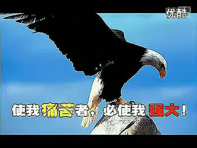 儿童励志短视频(儿童励志短视频怎么做)