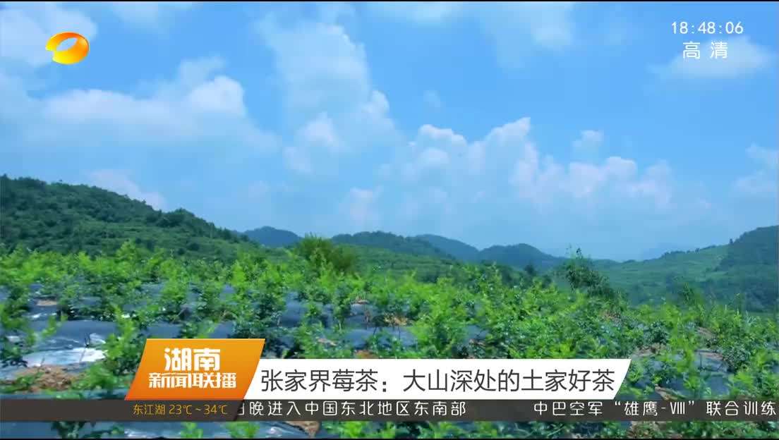 销售茶叶的视频(茶叶销售视频培训视频教程)