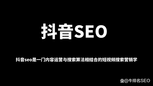 包含seo01短视频网站的词条