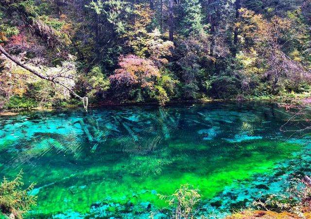 九寨沟景区宣传视频(九寨沟风景区视频播放)