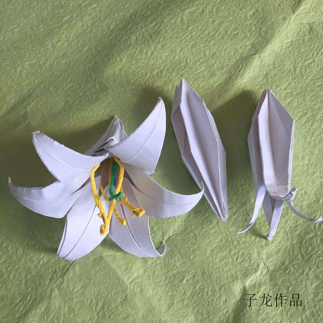 百合花制作视频(百合花制作视频过程)