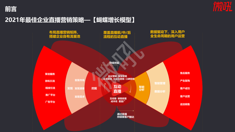 视频营销策略分析(视频营销策略分析怎么写)