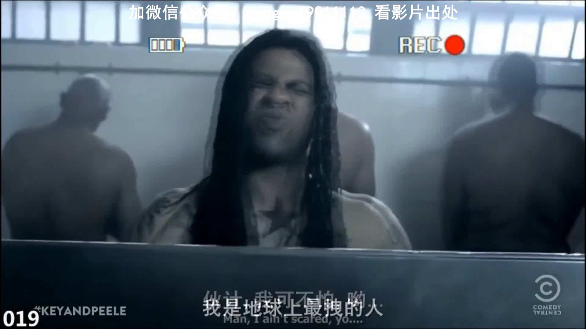 超级逗比搞笑短视频(超级逗比搞笑短视频下载)
