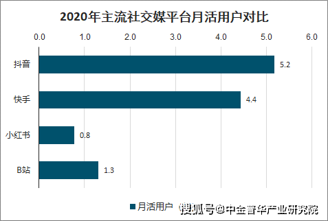短视频平台用户分析(短视频平台用户分析模型)