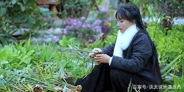 李子柒短视频(李子柒短视频所展示的中华文化魅力)