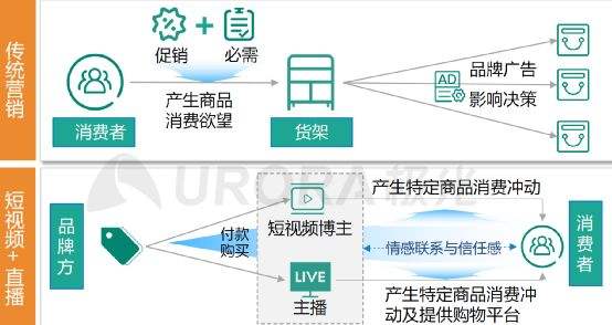 视频营销特点(视频营销特点包括)