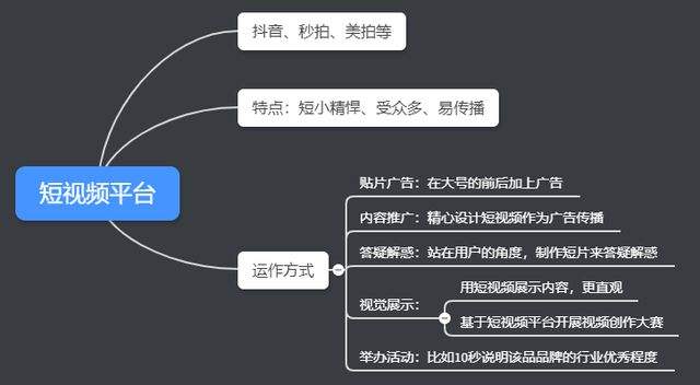 目前主流的短视频平台有哪些(目前主流的短视频平台有哪些公司)