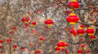 过年短视频短片(微信过年视频短片)